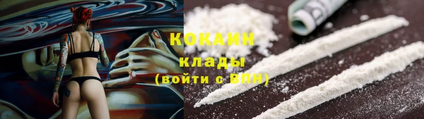 ALPHA-PVP Няндома