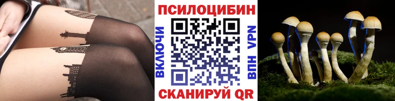 Галлюциногенные грибы мицелий  Осташков 