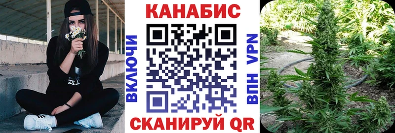 купить наркотик  Осташков  Бошки Шишки сатива 